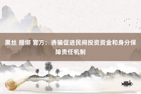黑丝 捆绑 官方：诱骗促进民间投资资金和身分保障责任机制