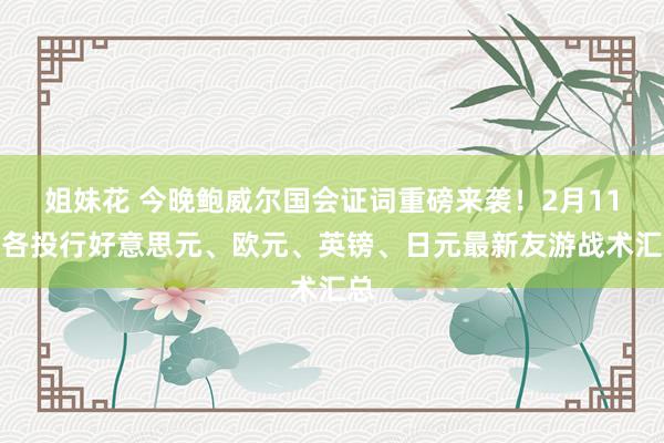 姐妹花 今晚鲍威尔国会证词重磅来袭！2月11日各投行好意思元、欧元、英镑、日元最新友游战术汇总