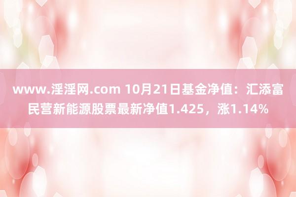 www.淫淫网.com 10月21日基金净值：汇添富民营新能源股票最新净值1.425，涨1.14%