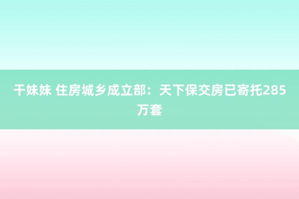 干妹妹 住房城乡成立部：天下保交房已寄托285万套
