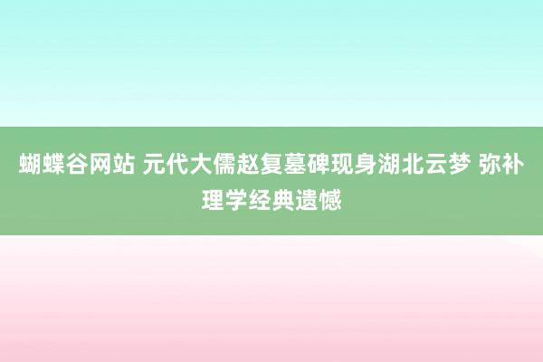 蝴蝶谷网站 元代大儒赵复墓碑现身湖北云梦 弥补理学经典遗憾