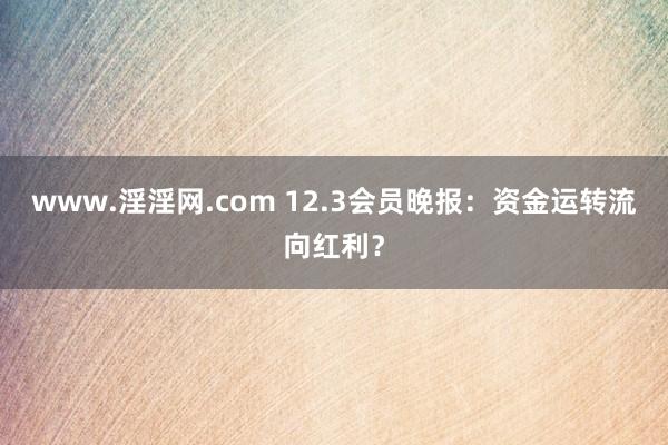www.淫淫网.com 12.3会员晚报：资金运转流向红利？