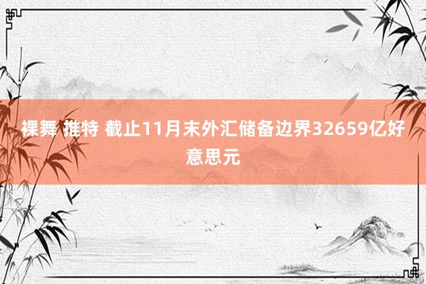 裸舞 推特 截止11月末外汇储备边界32659亿好意思元