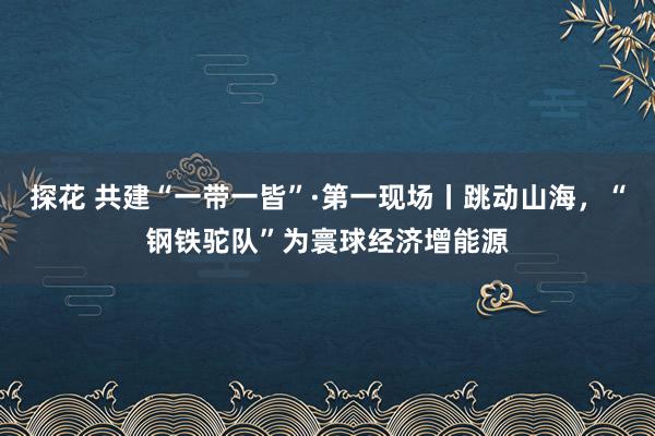 探花 共建“一带一皆”·第一现场丨跳动山海，“钢铁驼队”为寰球经济增能源