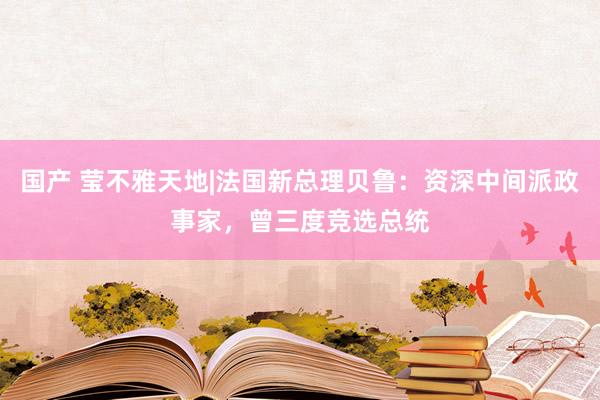 国产 莹不雅天地|法国新总理贝鲁：资深中间派政事家，曾三度竞选总统