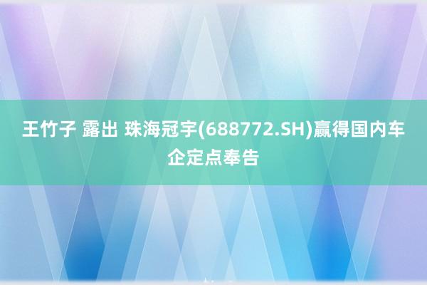 王竹子 露出 珠海冠宇(688772.SH)赢得国内车企定点奉告