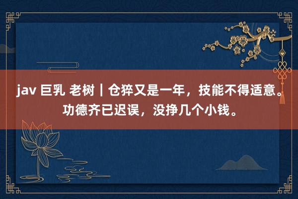 jav 巨乳 老树｜仓猝又是一年，技能不得适意。功德齐已迟误，没挣几个小钱。