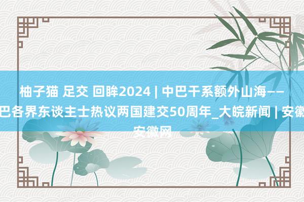 柚子猫 足交 回眸2024 | 中巴干系额外山海——中巴各界东谈主士热议两国建交50周年_大皖新闻 | 安徽网