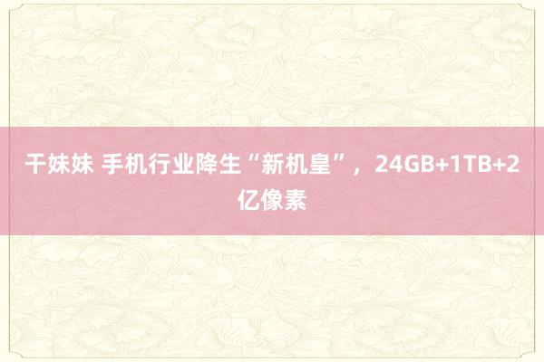 干妹妹 手机行业降生“新机皇”，24GB+1TB+2亿像素