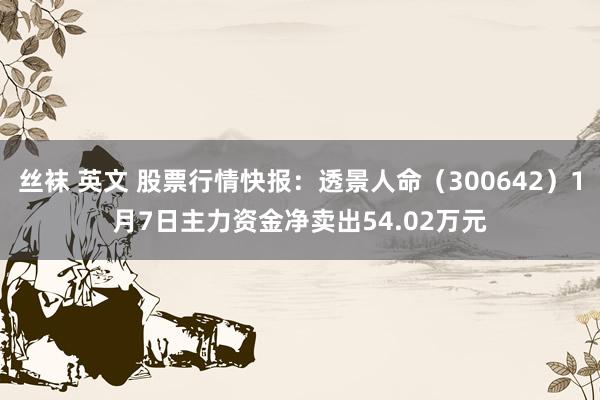 丝袜 英文 股票行情快报：透景人命（300642）1月7日主力资金净卖出54.02万元