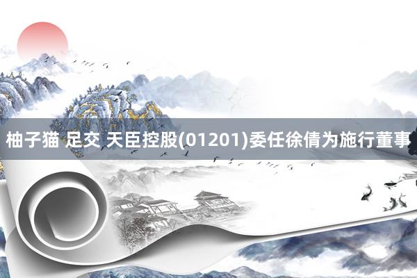 柚子猫 足交 天臣控股(01201)委任徐倩为施行董事