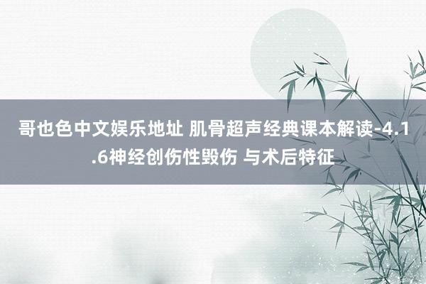 哥也色中文娱乐地址 肌骨超声经典课本解读-4.1.6神经创伤性毁伤 与术后特征