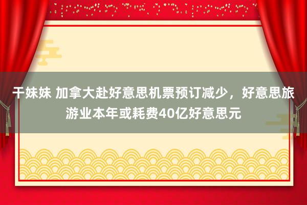 干妹妹 加拿大赴好意思机票预订减少，好意思旅游业本年或耗费40亿好意思元