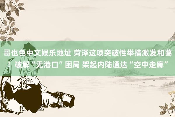 哥也色中文娱乐地址 菏泽这项突破性举措激发和蔼！破解“无港口”困局 架起内陆通达“空中走廊”