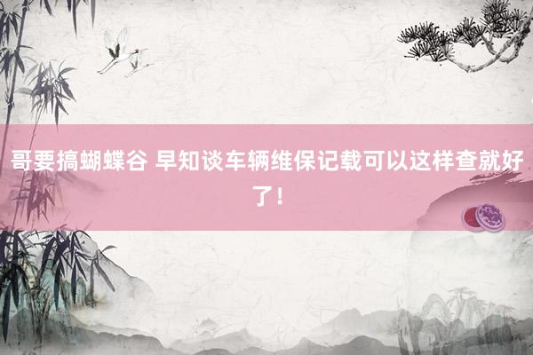 哥要搞蝴蝶谷 早知谈车辆维保记载可以这样查就好了！