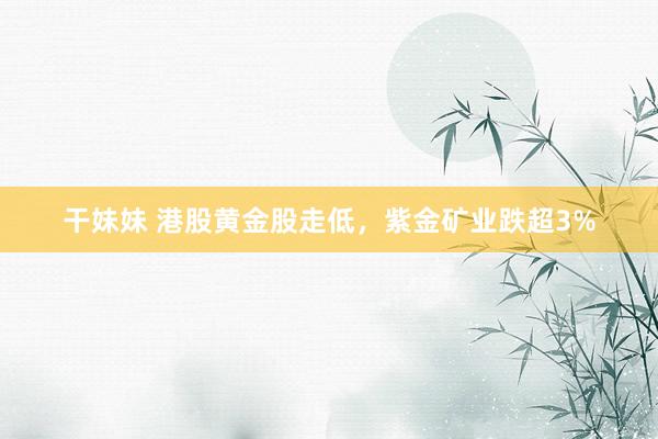 干妹妹 港股黄金股走低，紫金矿业跌超3%