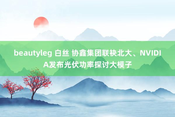 beautyleg 白丝 协鑫集团联袂北大、NVIDIA发布光伏功率探讨大模子