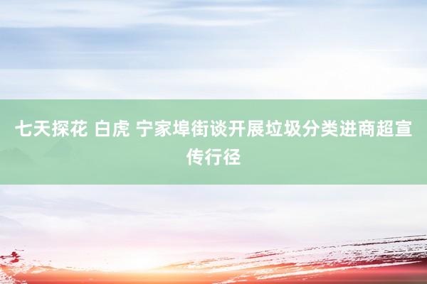 七天探花 白虎 宁家埠街谈开展垃圾分类进商超宣传行径