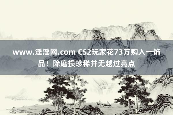 www.淫淫网.com CS2玩家花73万购入一饰品！除磨损珍稀并无越过亮点