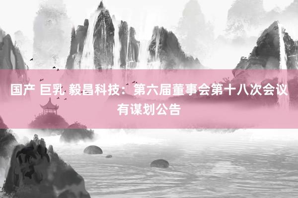 国产 巨乳 毅昌科技：第六届董事会第十八次会议有谋划公告