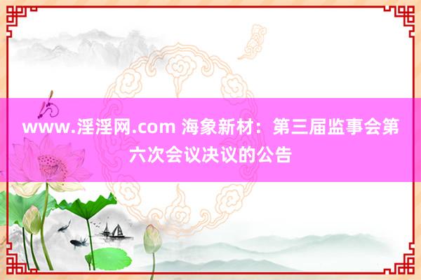 www.淫淫网.com 海象新材：第三届监事会第六次会议决议的公告