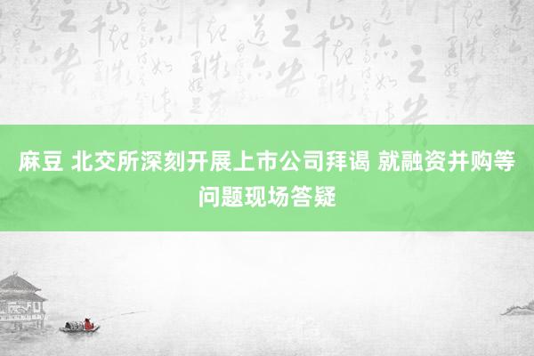 麻豆 北交所深刻开展上市公司拜谒 就融资并购等问题现场答疑