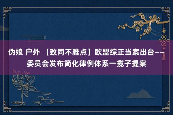 伪娘 户外 【致同不雅点】欧盟综正当案出台——委员会发布简化律例体系一揽子提案