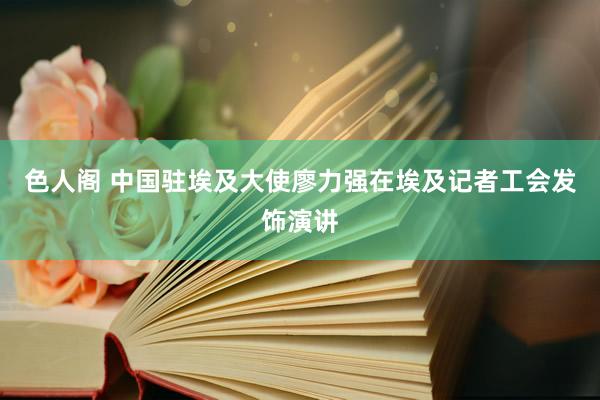 色人阁 中国驻埃及大使廖力强在埃及记者工会发饰演讲