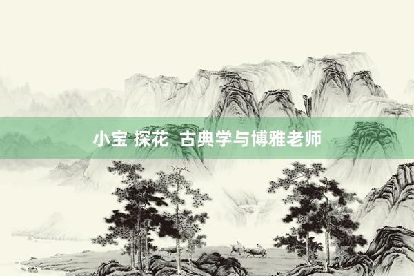 小宝 探花  古典学与博雅老师