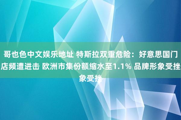 哥也色中文娱乐地址 特斯拉双重危险：好意思国门店频遭进击 欧洲市集份额缩水至1.1% 品牌形象受挫