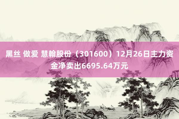 黑丝 做爱 慧翰股份（301600）12月26日主力资金净卖出6695.64万元