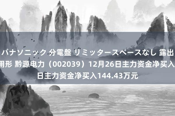 パナソニック 分電盤 リミッタースペースなし 露出・半埋込両用形 黔源电力（002039）12月26日主力资金净买入144.43万元