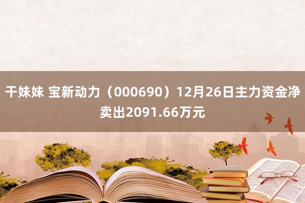 干妹妹 宝新动力（000690）12月26日主力资金净卖出2091.66万元