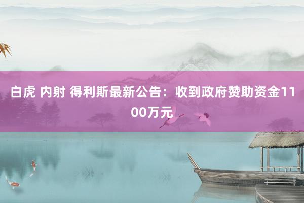 白虎 内射 得利斯最新公告：收到政府赞助资金1100万元
