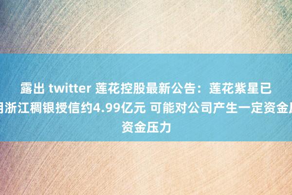 露出 twitter 莲花控股最新公告：莲花紫星已使用浙江稠银授信约4.99亿元 可能对公司产生一定资金压力