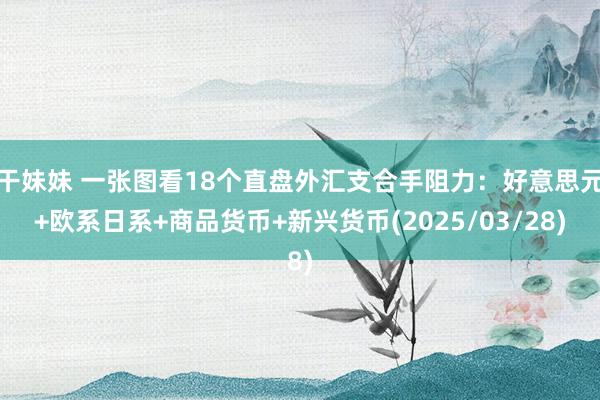干妹妹 一张图看18个直盘外汇支合手阻力：好意思元+欧系日系+商品货币+新兴货币(2025/03/28)