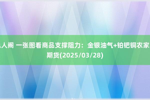 色人阁 一张图看商品支撑阻力：金银油气+铂钯铜农家具期货(2025/03/28)
