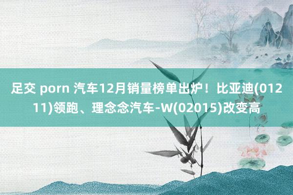 足交 porn 汽车12月销量榜单出炉！比亚迪(01211)领跑、理念念汽车-W(02015)改变高
