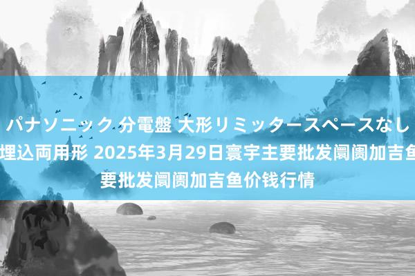 パナソニック 分電盤 大形リミッタースペースなし 露出・半埋込両用形 2025年3月29日寰宇主要批发阛阓加吉鱼价钱行情