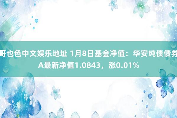 哥也色中文娱乐地址 1月8日基金净值：华安纯债债券A最新净值1.0843，涨0.01%