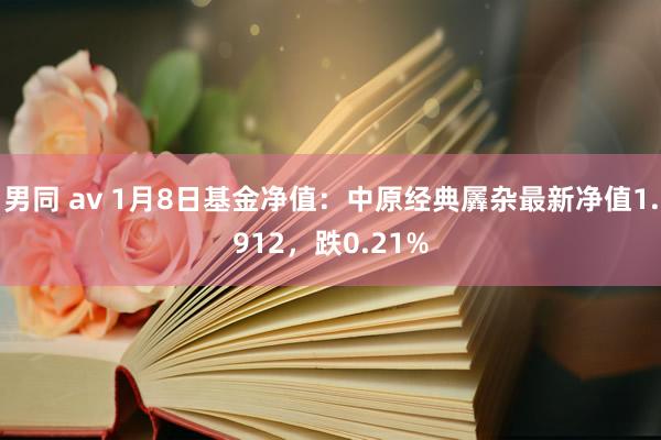 男同 av 1月8日基金净值：中原经典羼杂最新净值1.912，跌0.21%