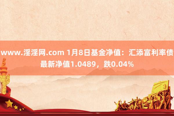 www.淫淫网.com 1月8日基金净值：汇添富利率债最新净值1.0489，跌0.04%