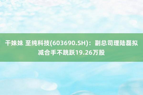 干妹妹 至纯科技(603690.SH)：副总司理陆磊拟减合手不跳跃19.26万股