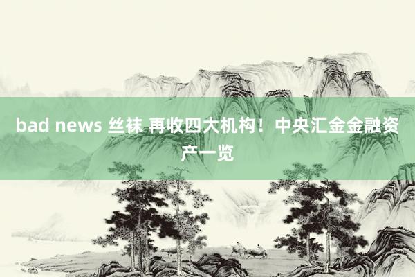 bad news 丝袜 再收四大机构！中央汇金金融资产一览