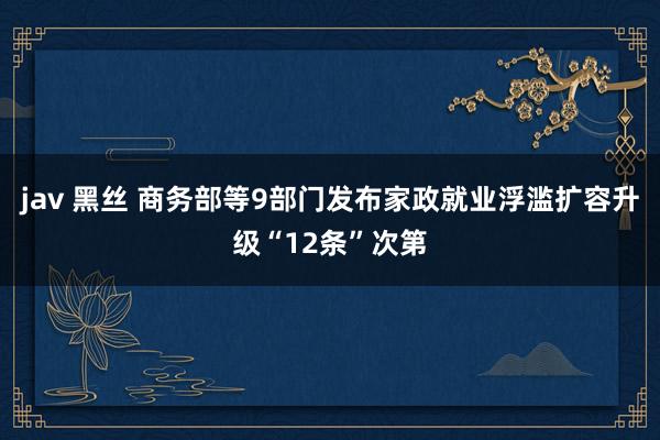 jav 黑丝 商务部等9部门发布家政就业浮滥扩容升级“12条”次第