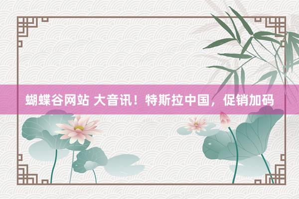 蝴蝶谷网站 大音讯！特斯拉中国，促销加码