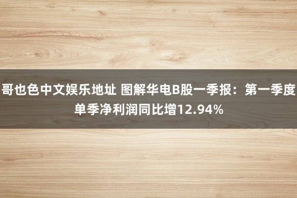 哥也色中文娱乐地址 图解华电B股一季报：第一季度单季净利润同比增12.94%