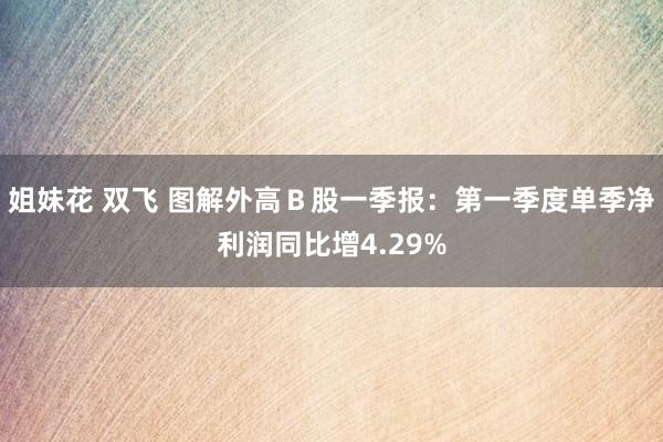 姐妹花 双飞 图解外高Ｂ股一季报：第一季度单季净利润同比增4.29%