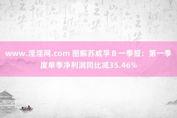 www.淫淫网.com 图解苏威孚Ｂ一季报：第一季度单季净利润同比减35.46%