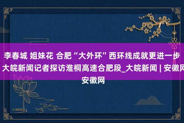 李春城 姐妹花 合肥“大外环”西环线成就更进一步  大皖新闻记者探访淮桐高速合肥段_大皖新闻 | 安徽网